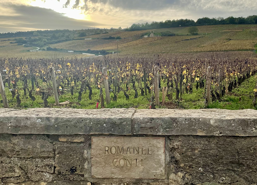 Veduta autunnale del celebre vigneto Romanée-Conti in Borgogna, con cielo grigio e foglie sparse