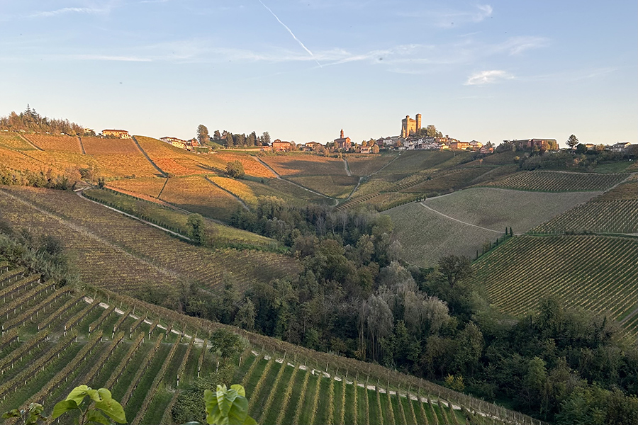 Vista panoramica sulle colline vitate delle Langhe al tramonto, con borgo illuminato in cima alla collina